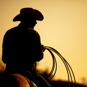 Retiring in Arizona Cowboy