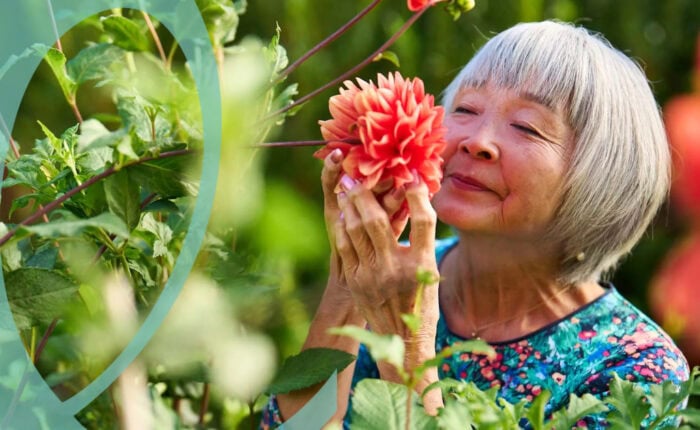 7 Stages of Dementia