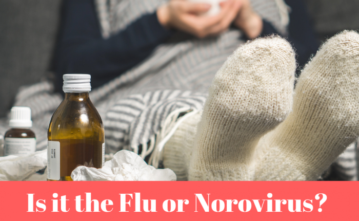 flu-vs-norovirus