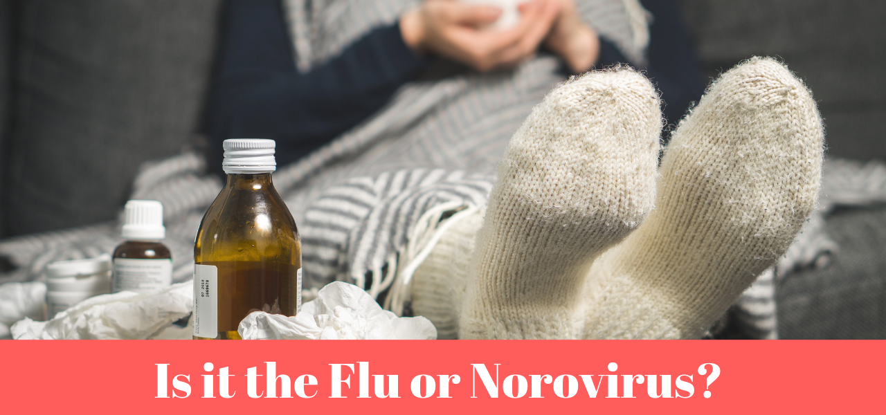 flu-vs-norovirus