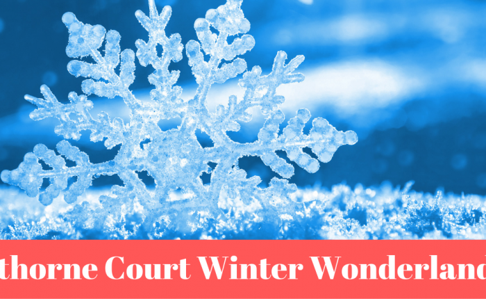 Hawthorne Court Winter Wonderland