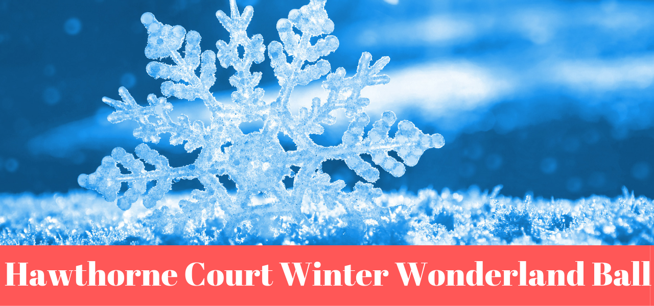 Hawthorne Court Winter Wonderland