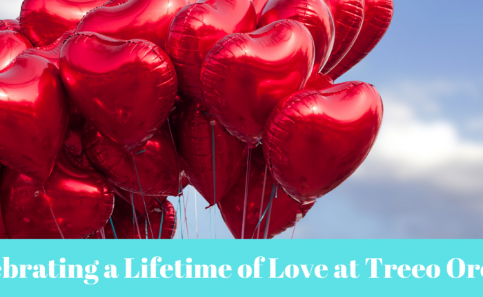 Celebrating a Lifetime of Love at Treeo Orem
