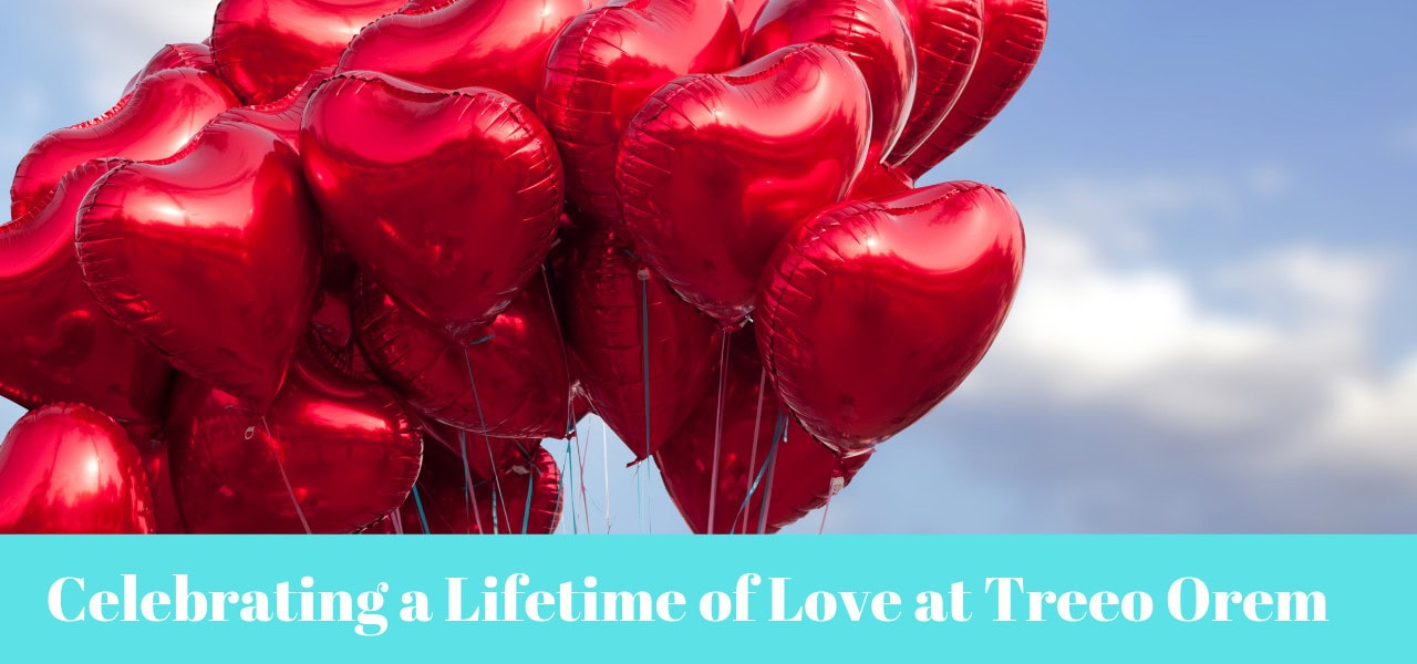 Celebrating a Lifetime of Love at Treeo Orem