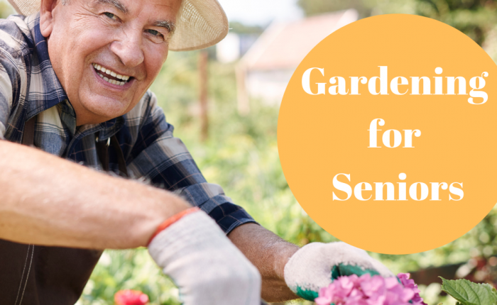 Senior Gardening