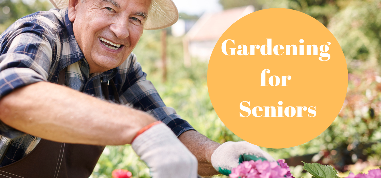 senior-gardening