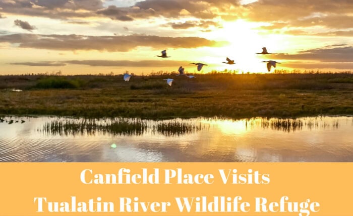 Canfield Place Visits Tualatin River Wildlife Refuge