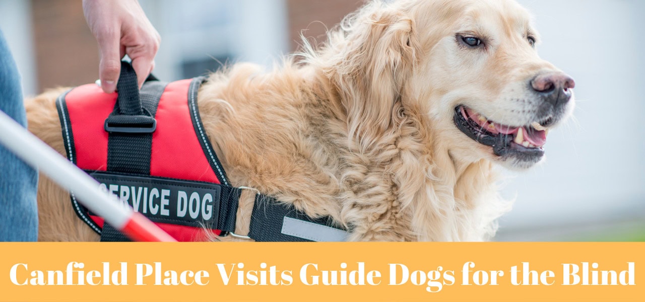 One Bedroom Apartment at Fairwinds - Rio Rancho Retirement comm