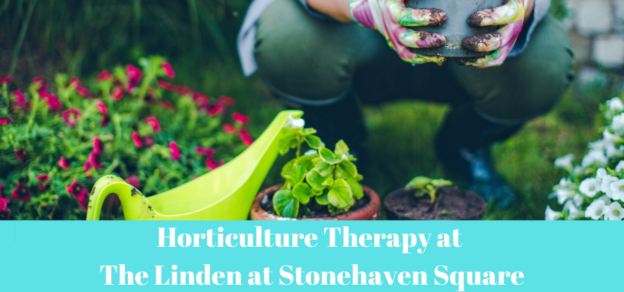 Horticulture Therapy at The Linden at Stonehaven Square