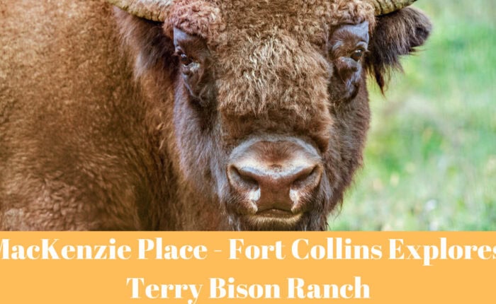Mackenzie Place Fort Collins Terry Bison Ranch