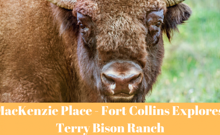 Mackenzie Place Fort Collins Terry Bison Ranch