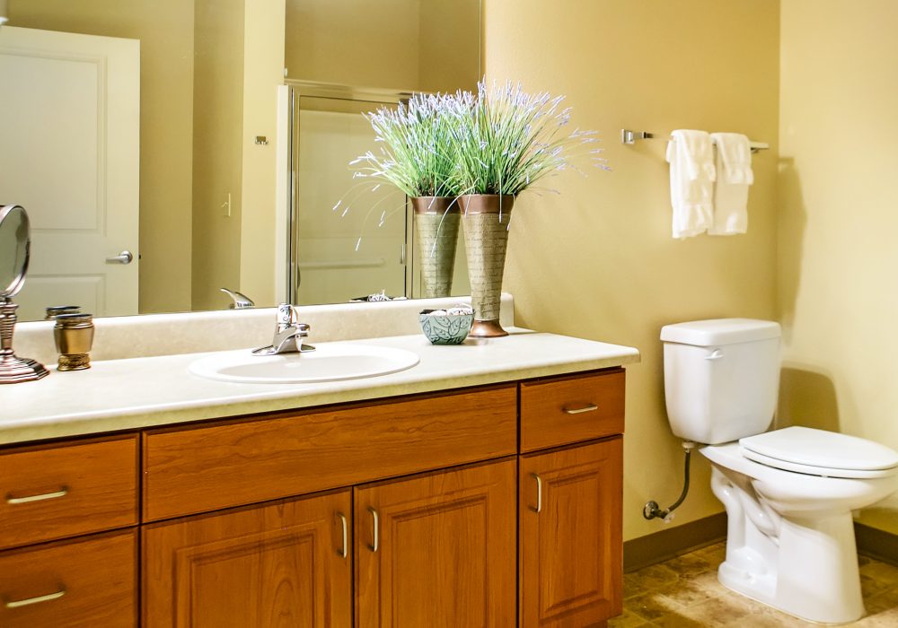Senior Apartment Bathroom - Fairwinds - Redmond