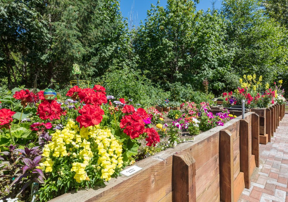 Flower Boxes -  Fairwinds - Redmond Retirement Community