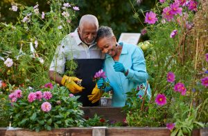 leisure-care-couple-gardening