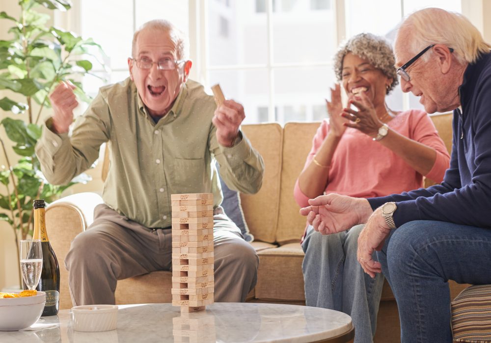 Leisure Care Games