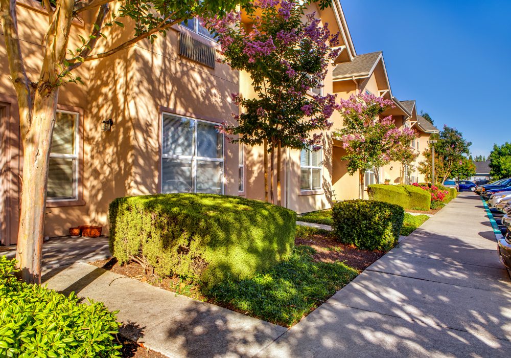 Patio - Springfield Place Senior Living
