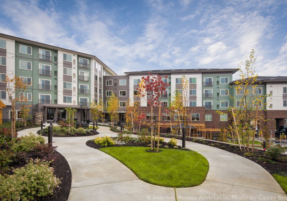 Courtyard Area at The Ackerly at Timberland