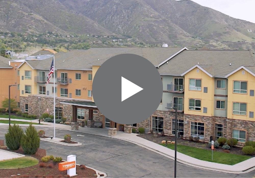 Treeo South Ogden Youtube 816ieyR UAs Youtube