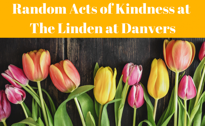 random-acts-kindness-linden-danvers