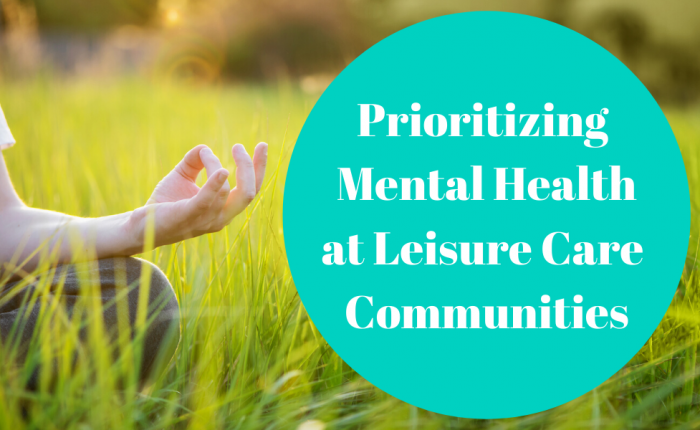 mental-health-leisure-care