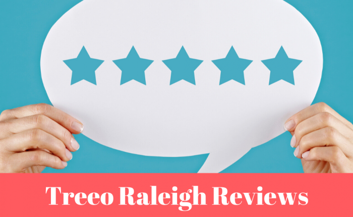 treeo-raleigh-reviews