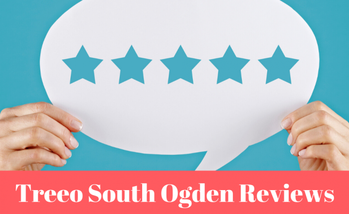 treeo-south-ogden-reviews