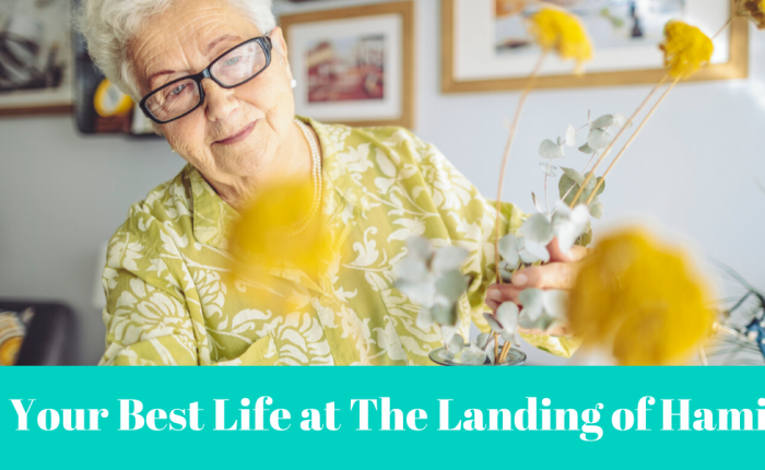 best-life-landing-of-hamilton