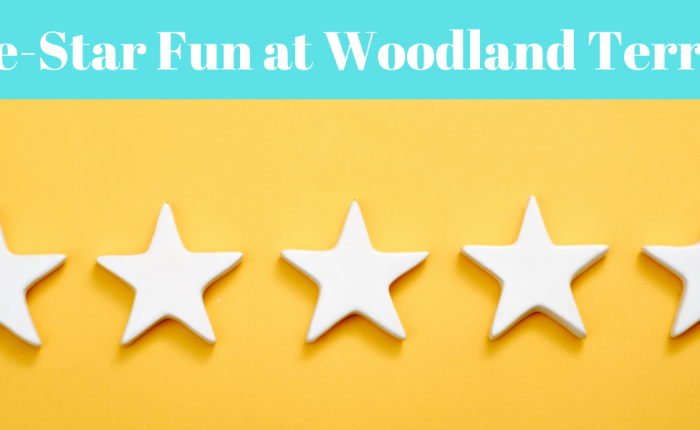 five-star-fun-woodland-terrace