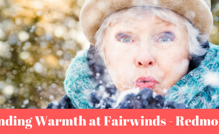 winter-fairwinds-redmond