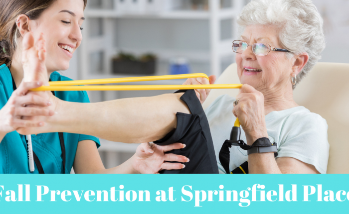 Springfield Place Fall Prevention