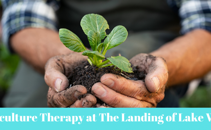 The Landing Of Lake Worth Horticulture Therapy
