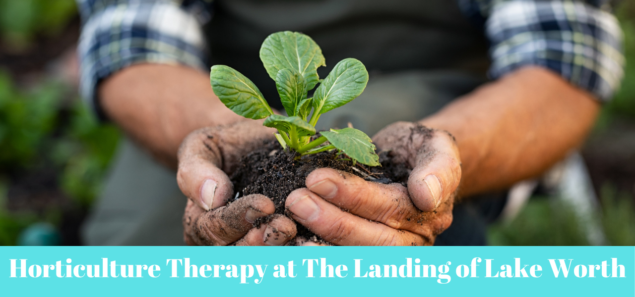 the-landing-of-lake-worth-horticulture-therapy