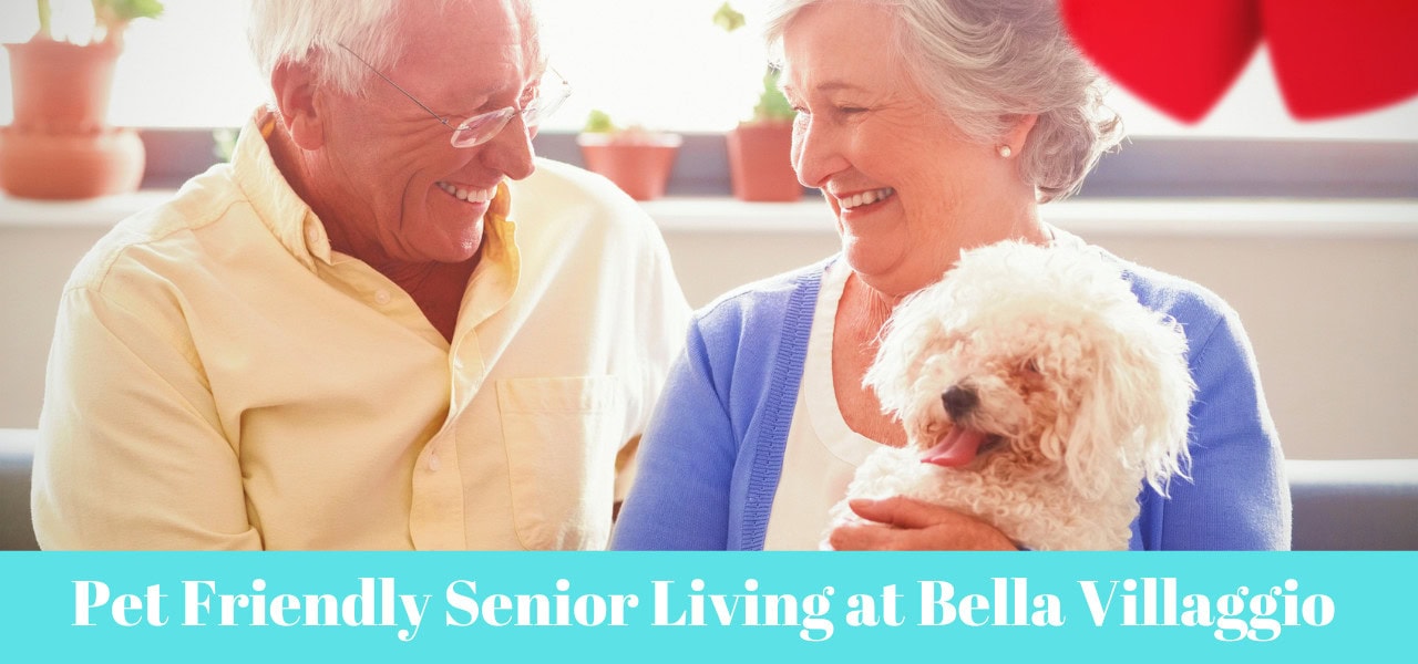 bella-villaggio-pet-friendly