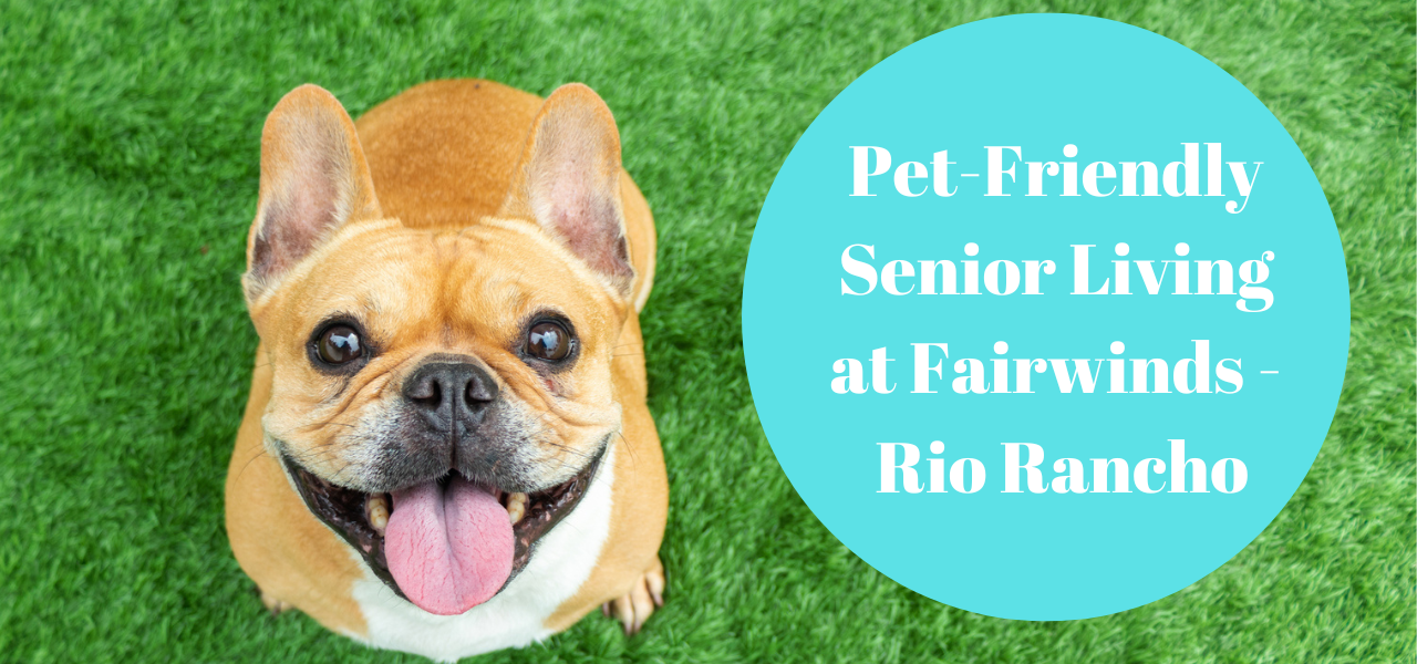 pet-friendly-senior-living-fairwinds-rio-rancho