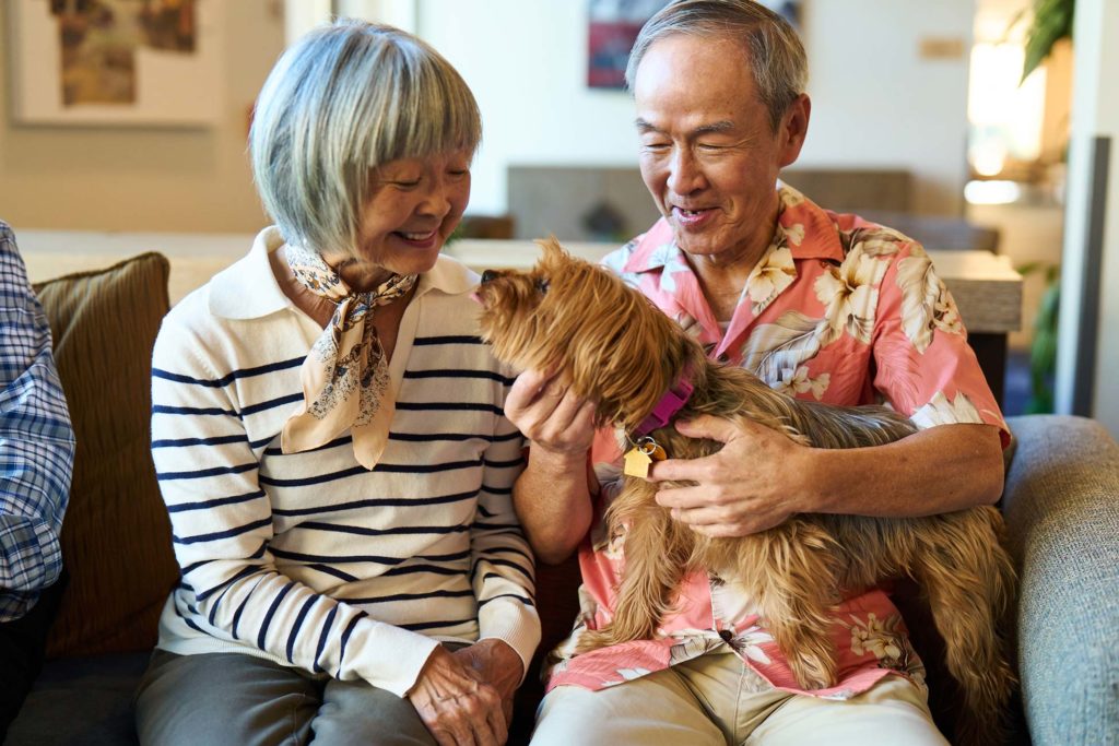 Couple holding dog