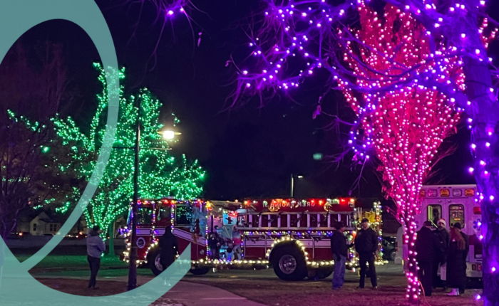 Treeo Orem Tree Lighting